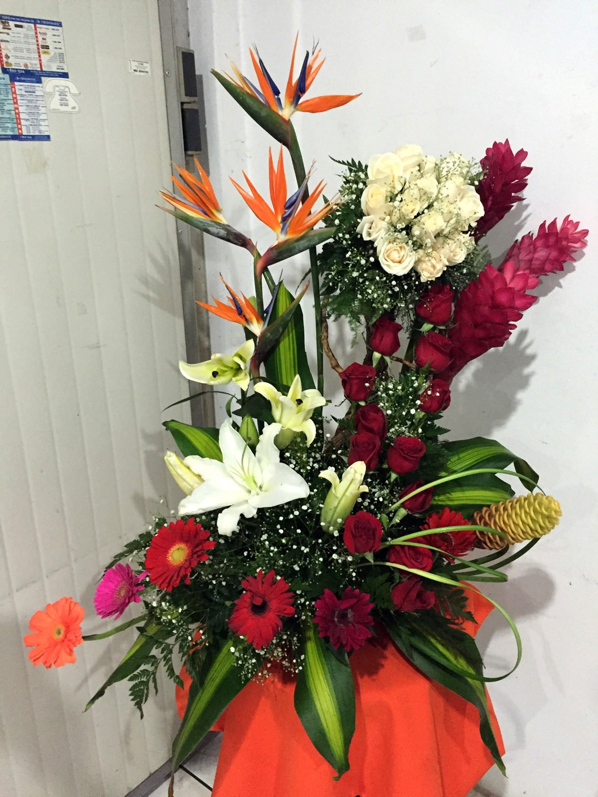 36 flores tropicales
