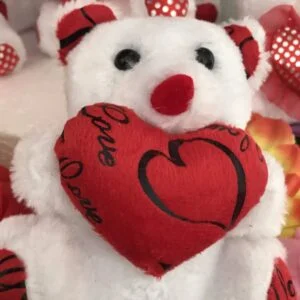 osito con corazon rojo y love