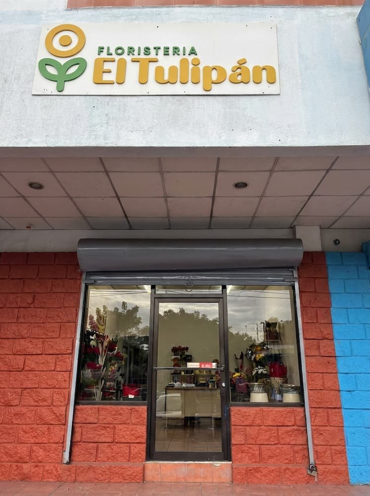 foto frontal de la floristeria el tulipan